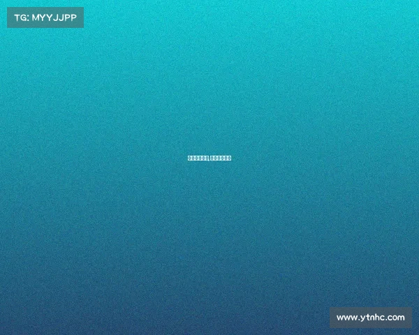 奥迪欧洲赛事,奥迪比赛成绩